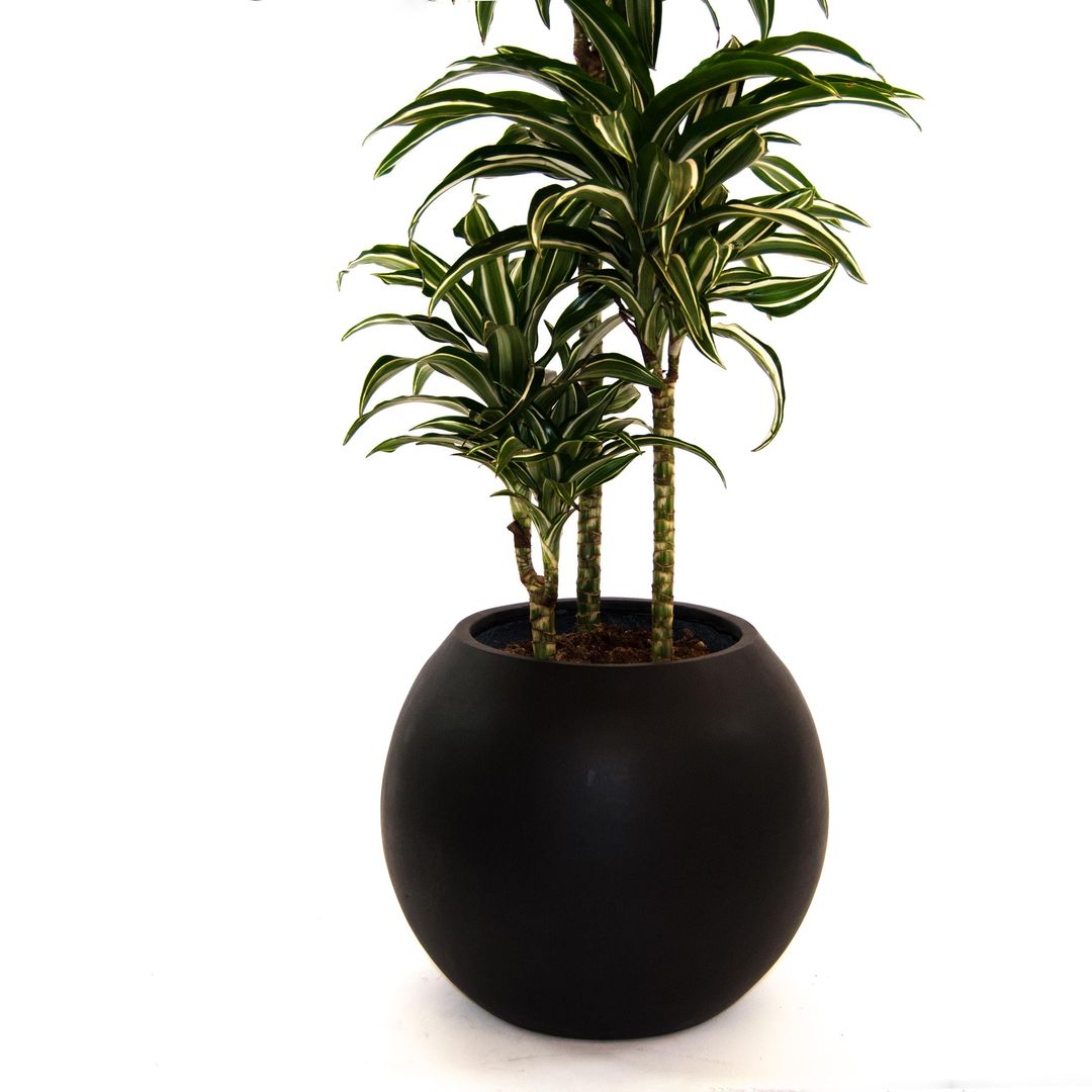 Elegant Einrichten | Pflanzkübel | Fiberglas | Ball | D40xH32cm | elegant schwarz-matt.