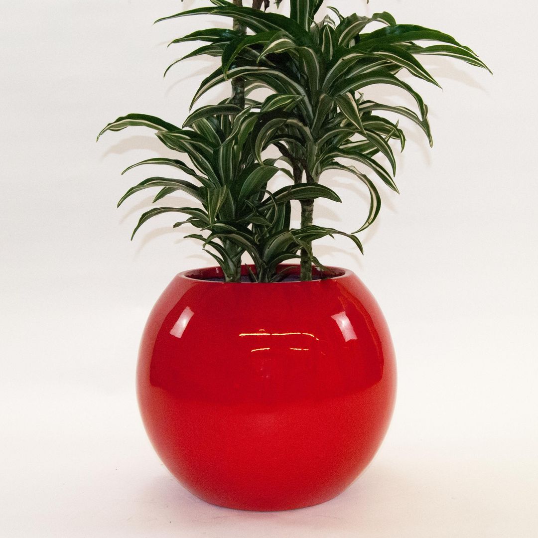 Elegant Einrichten | Pflanzkübel | Fiberglas | Ball | D62xH48cm | hochglanz rot