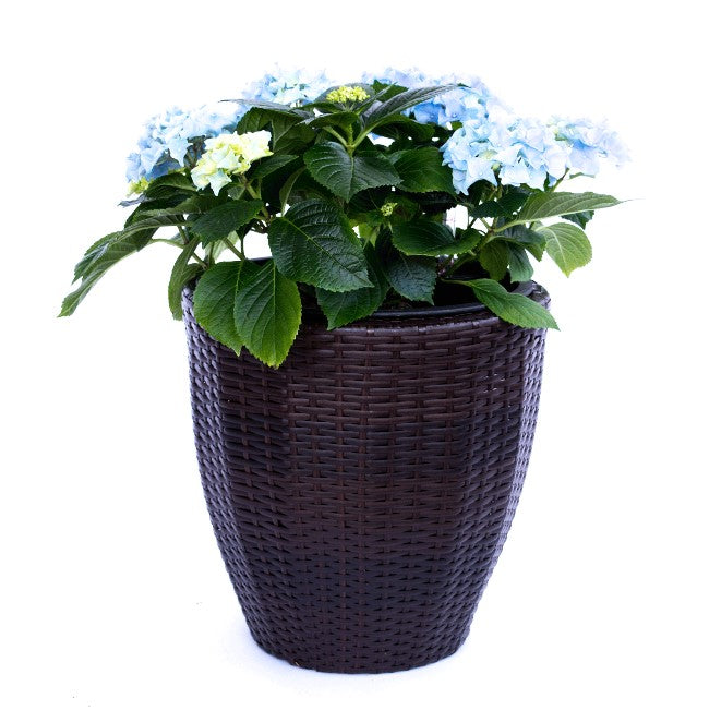 Elegant Einrichten | Pflanzkübel | Polyrattan | rundkonisch | D30xH30cm | coffee braun