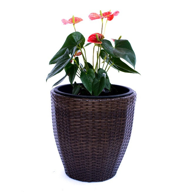 Elegant Einrichten | Pflanzkübel | Polyrattan | rundkonisch | D37xH37cm | mocca