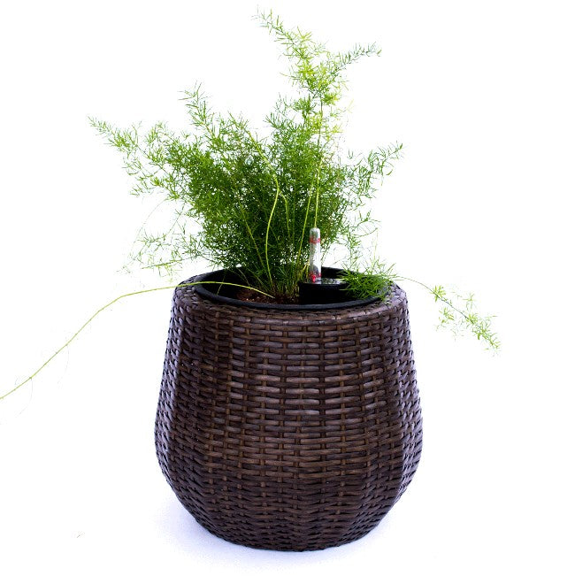 Elegant Einrichten | Pflanzkübel | Polyrattan | rundkonisch | D35xH32cm | mocca