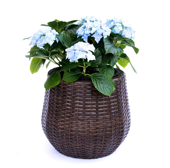 Elegant Einrichten | Pflanzkübel | Polyrattan | rundkonisch | D52xH44cm | mocca