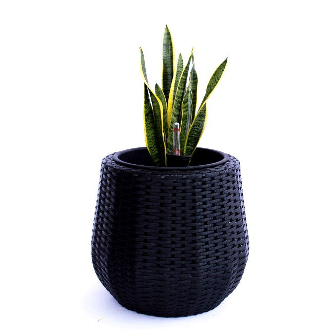 Elegant Einrichten | Pflanzkübel | Polyrattan | rundkonisch | D35xH32cm | schwarz.