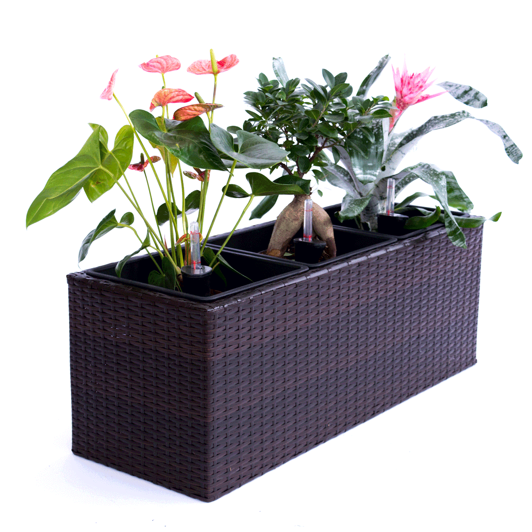 Pflanzkasten Polyrattan 82x30x30cm coffee braun