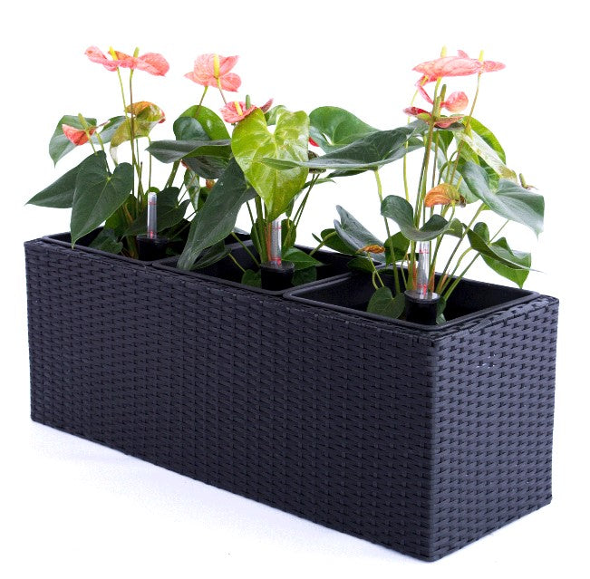 Blumenkasten Polyrattan 82x30x26cm schwarz