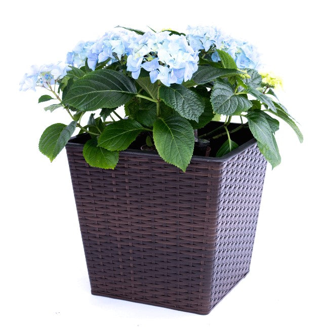 Elegant Einrichten | Pflanzkübel | quadratisch konisch | Polyrattan | 34x34x31cm | coffeebraun.