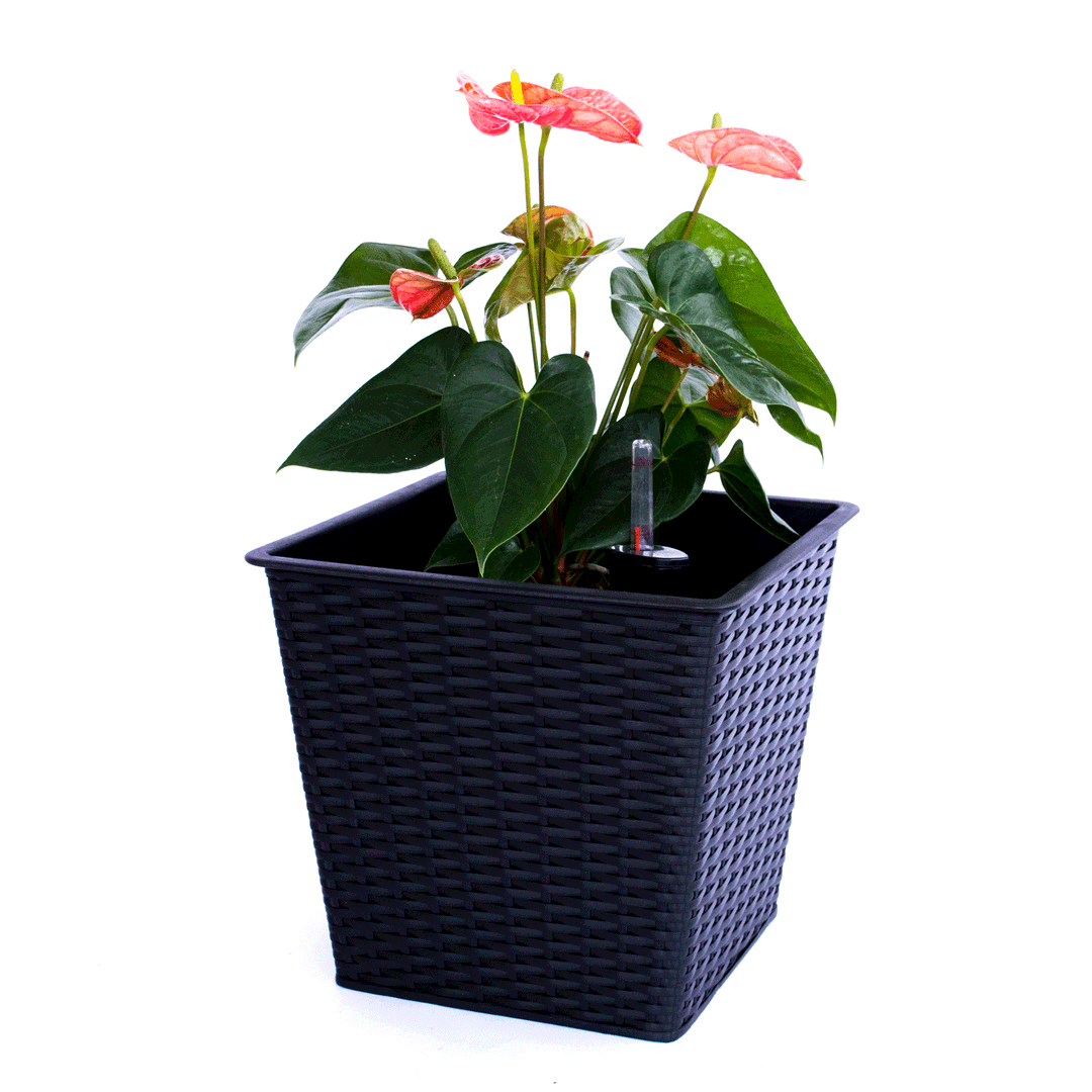 Blumenkübel quadratisch, konisch Polyrattan 26x26x24cm schwarz 5er Set