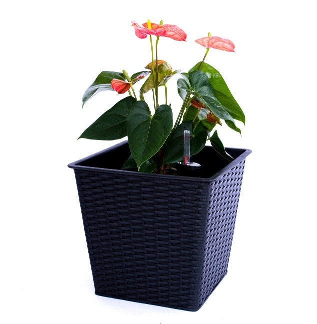 Elegant Einrichten | Pflanzkübel | quadratisch konisch | Polyrattan | 26x26x24cm | schwarz.