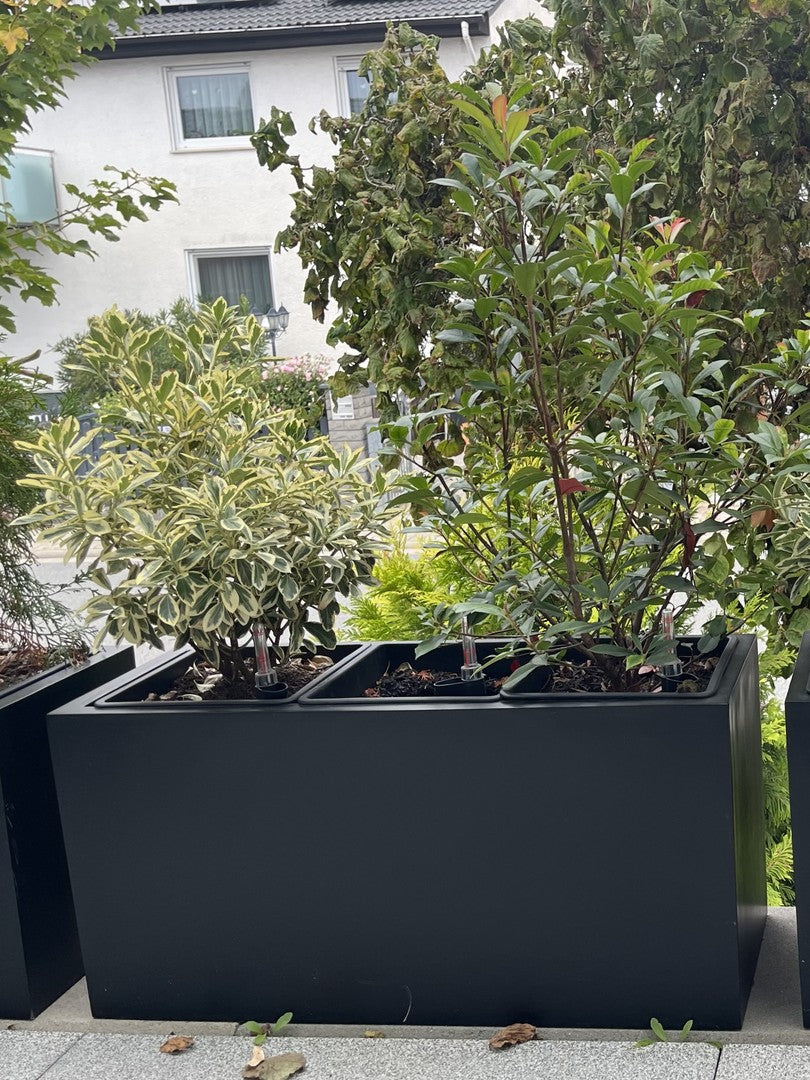 Pflanzkübel Fiberglas rechteckig 84x30x40cm schwarz-matt mit immergrünen Sträuchern am Rand einer Terrasse