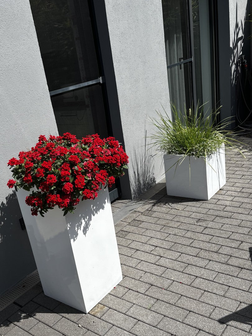Pflanzkübel Fiberglas Säule 38x38x80cm hochglanz weiß mit roten Sommerblumen am Hauseingang