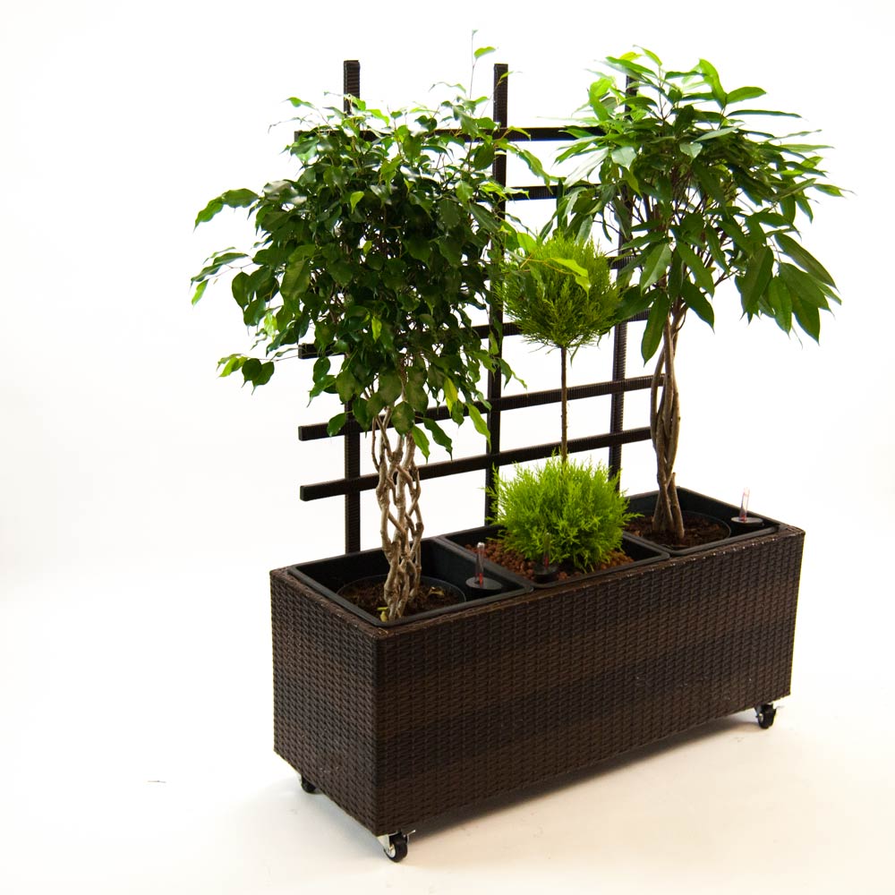 Elegant Einrichten | Pflanzkübel | Polyrattan | mit Rankgitter | rechteckig | 82x30x100cm | coffeebraun