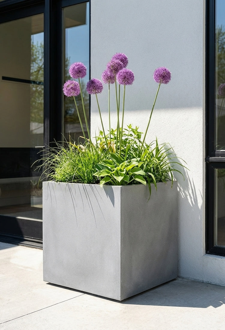Grauer quadratischer Pflanzkübel vor modernem Eingang mit Ziergräsern und violetten Zierlauch-Blüten – stilvolle Pflanzgefäße