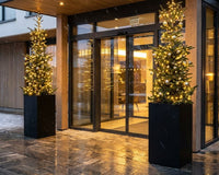 Winter-Tipps: Pflanzkübel sicher durch Frost, Regen & Wind bringen und winterfest machen