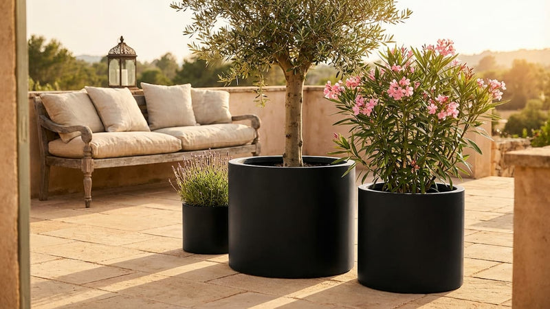 Mediterrane Terrasse gestalten: Pflanzkübel-Ideen mit südländischem Flair