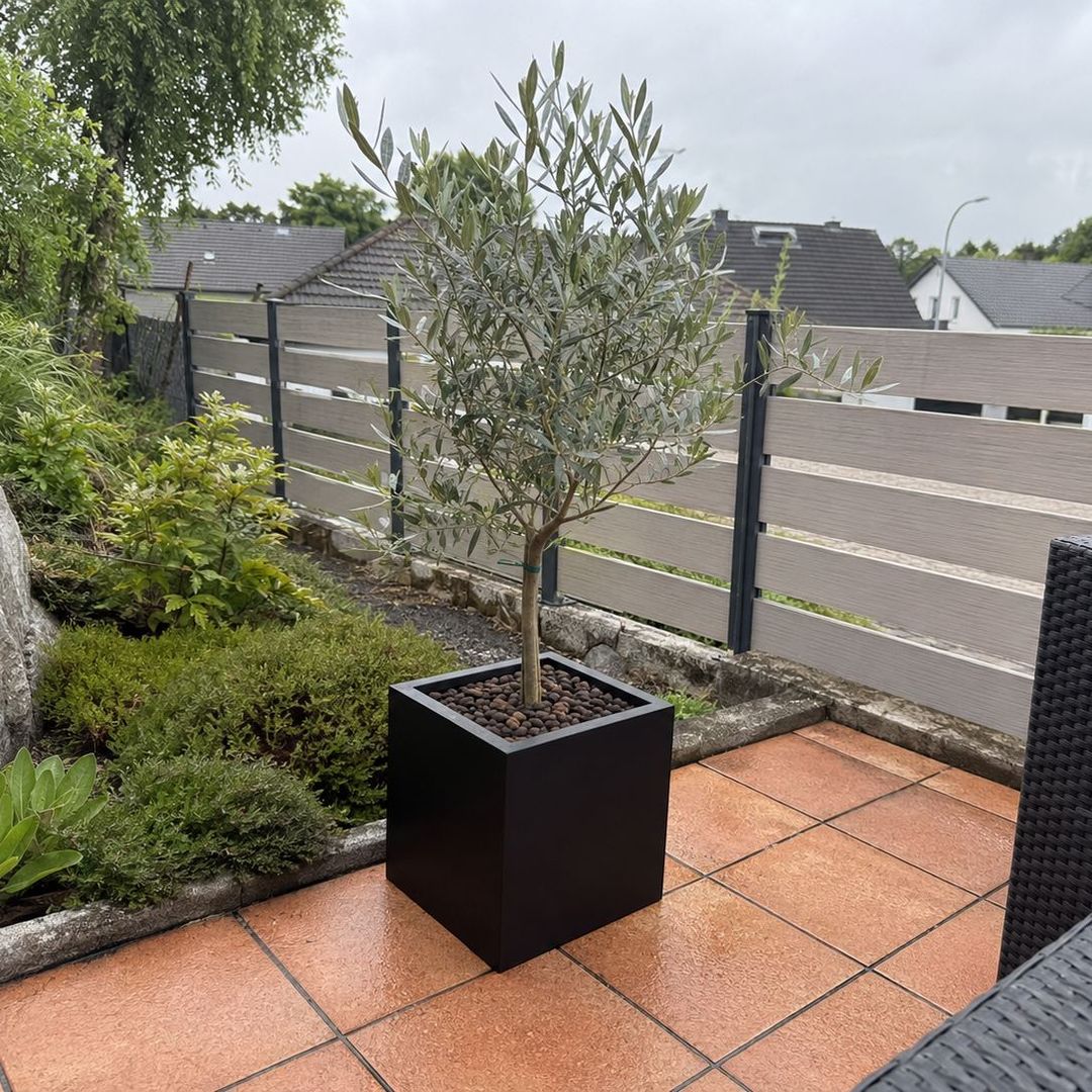 Pflanzkübel Fiberglas quadratisch 40x40x40cm schwarz-matt mit Olivenbäumchen auf Gartenterrasse [KI-Lifestyle]