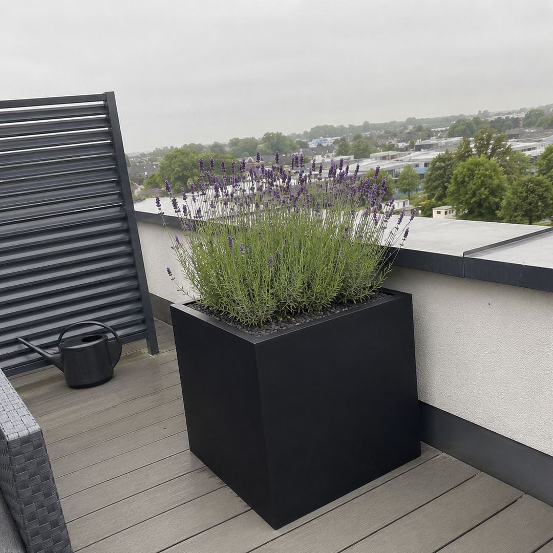 Pflanzkübel Fiberglas quadratisch 60x60x60cm schwarz-matt mit Lavendel auf Dachterrasse [KI-Lifestyle]