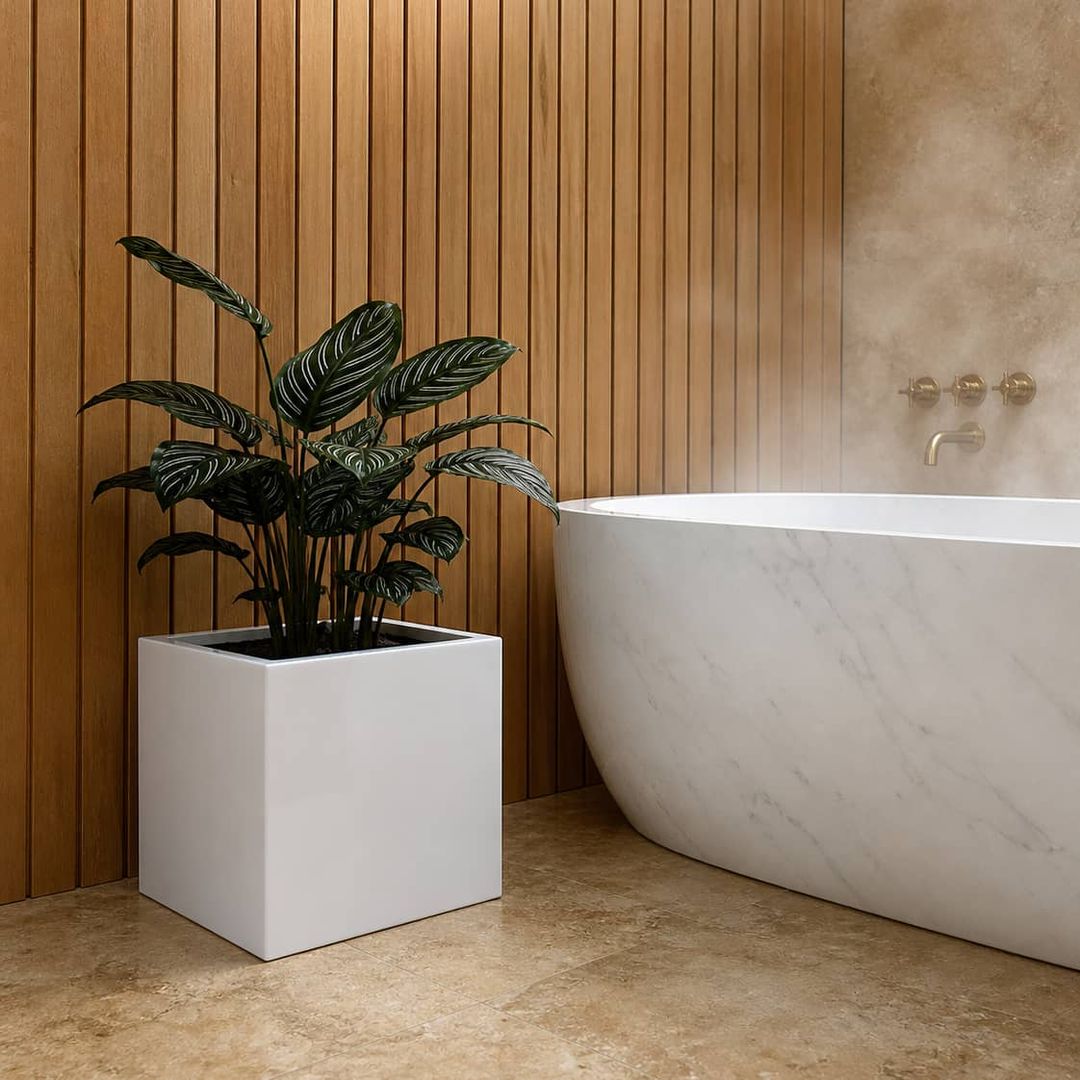 Pflanzkübel Fiberglas quadratisch 38x38x38cm hochglanz weiß mit Calathea-Pfauenpflanze in Spa-Bad [KI-Lifestyle]