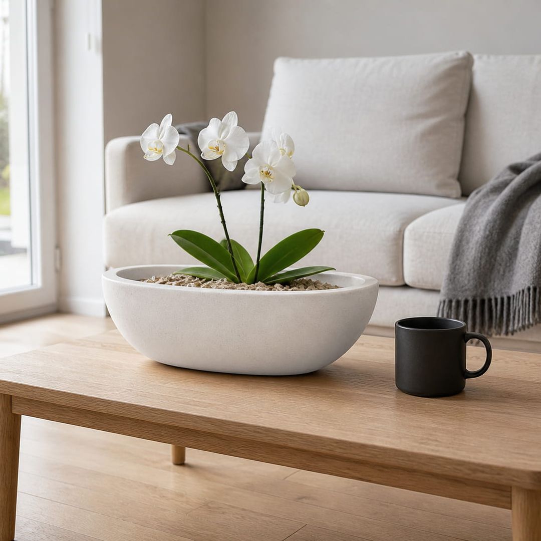 Pflanzschale Fiberglas oval 51x23xH18cm perlmutt weiß mit Phalaenopsis-Orchidee auf Couchtisch [KI-Lifestyle]