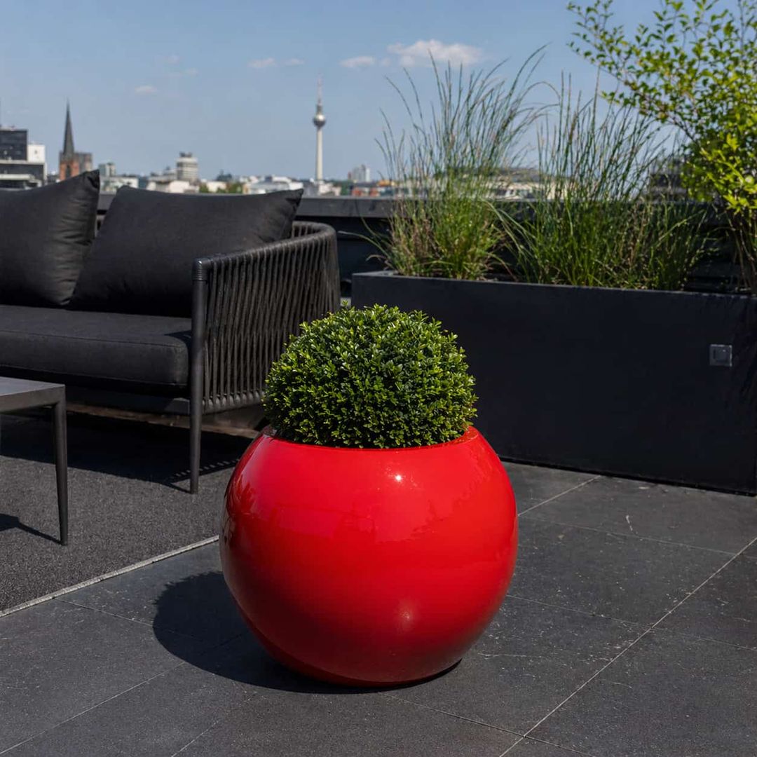 Pflanzkübel Fiberglas Ball D62xH48cm hochglanz rot mit Buchsbaum-Kugel auf schwarzer Dachterrasse [KI-Lifestyle]