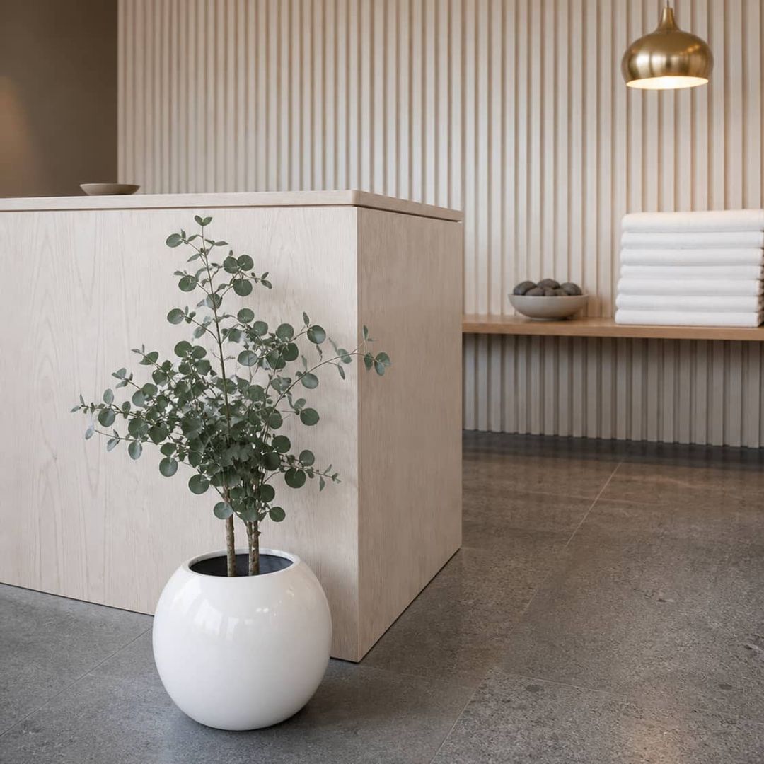 Pflanzkübel Fiberglas Kugel D40xH32cm hochglanz weiß in Spa-Wellness-Interieur [KI-Lifestyle]