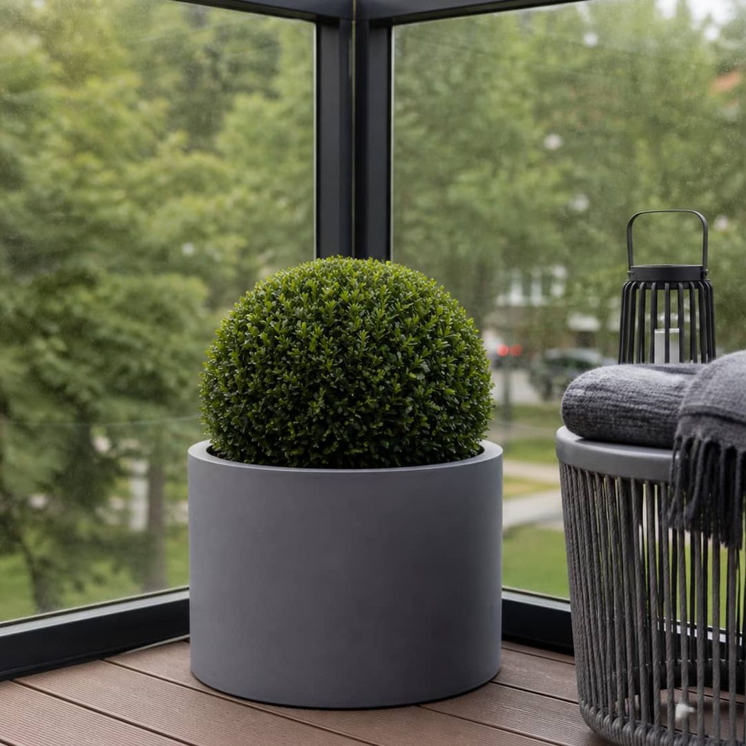 Pflanzkübel Fiberglas zylindrisch D50xH40cm grau mit Buchsbaumkugel [KI-Lifestyle]