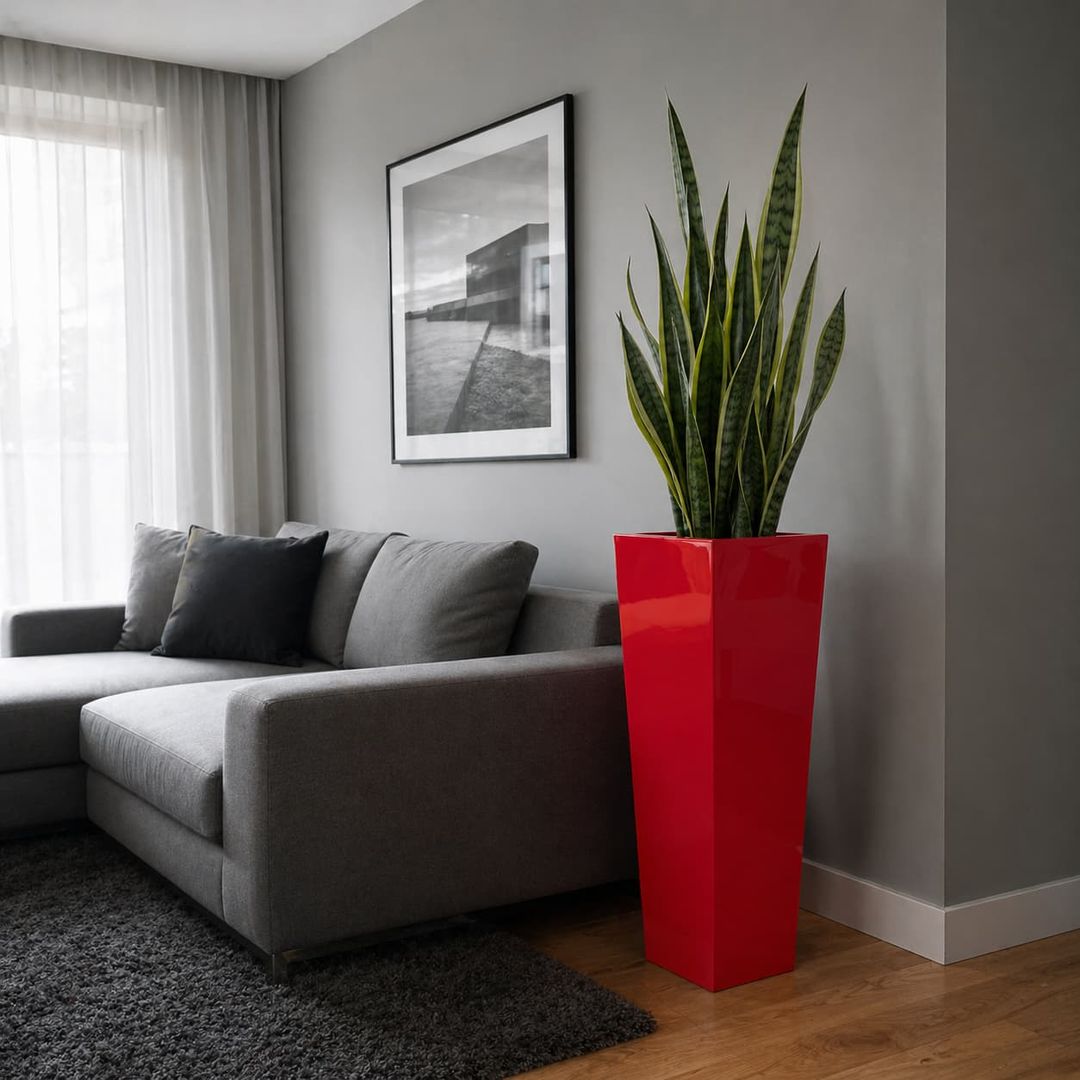 Pflanzkübel Fiberglas Säule konisch 30x30x90cm hochglanz rot mit Bogenhanf im modernen Wohnzimmer [KI-Lifestyle]
