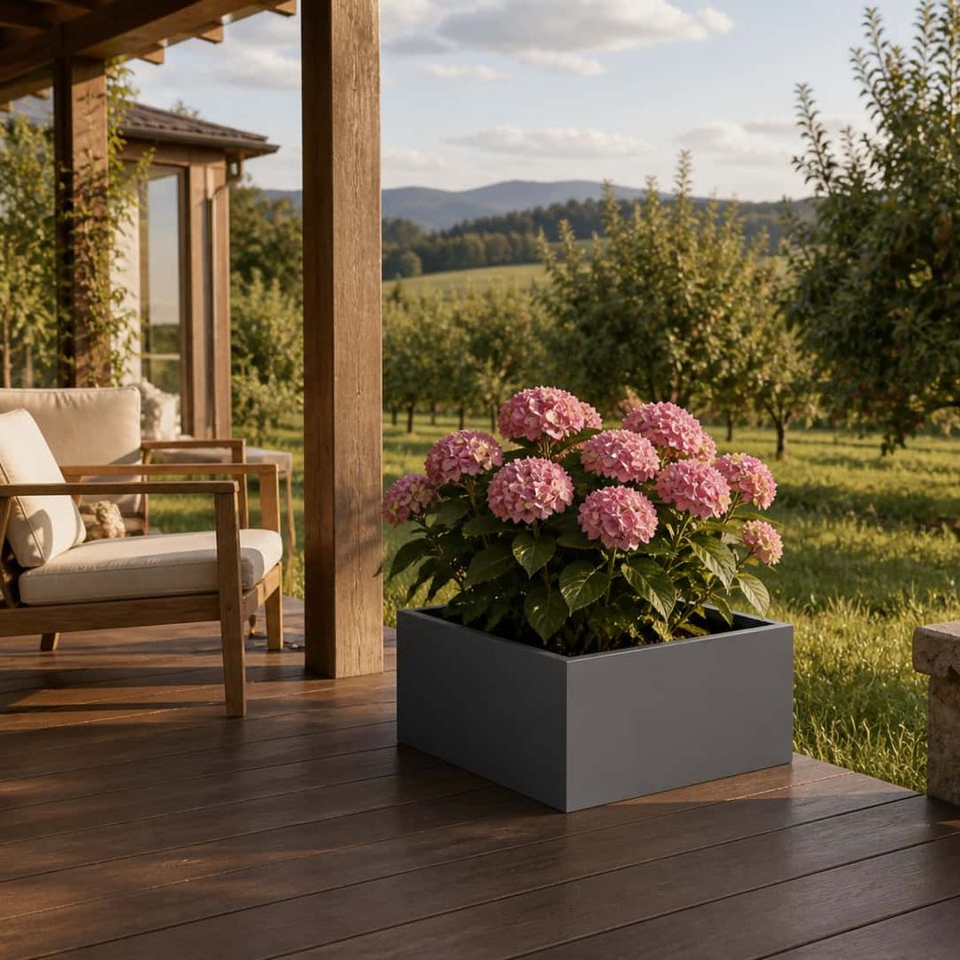 Pflanzkübel Fiberglas niedrig quadratisch 60x60x30cm anthrazit-metallic mit rosa Hortensien auf Landhaus-Terrasse [KI-Lifestyle]