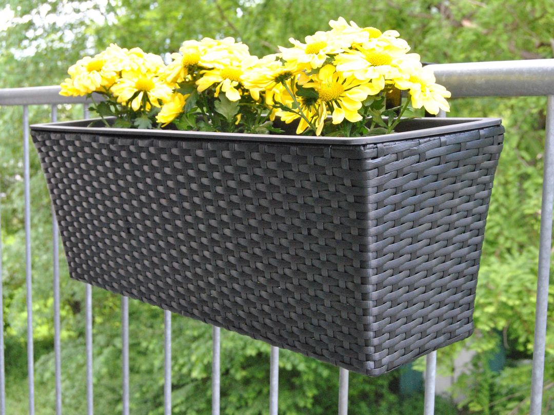 Pflanzkasten Polyrattan 60x19x20cm schwarz 6er Set