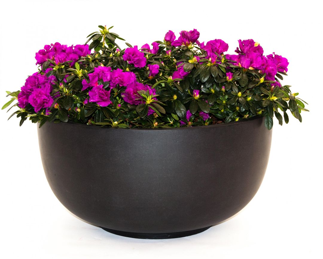 Elegant Einrichten | Pflanzkübel | Fiberglas | rund | D60xH30cm | elegant schwarz-matt.