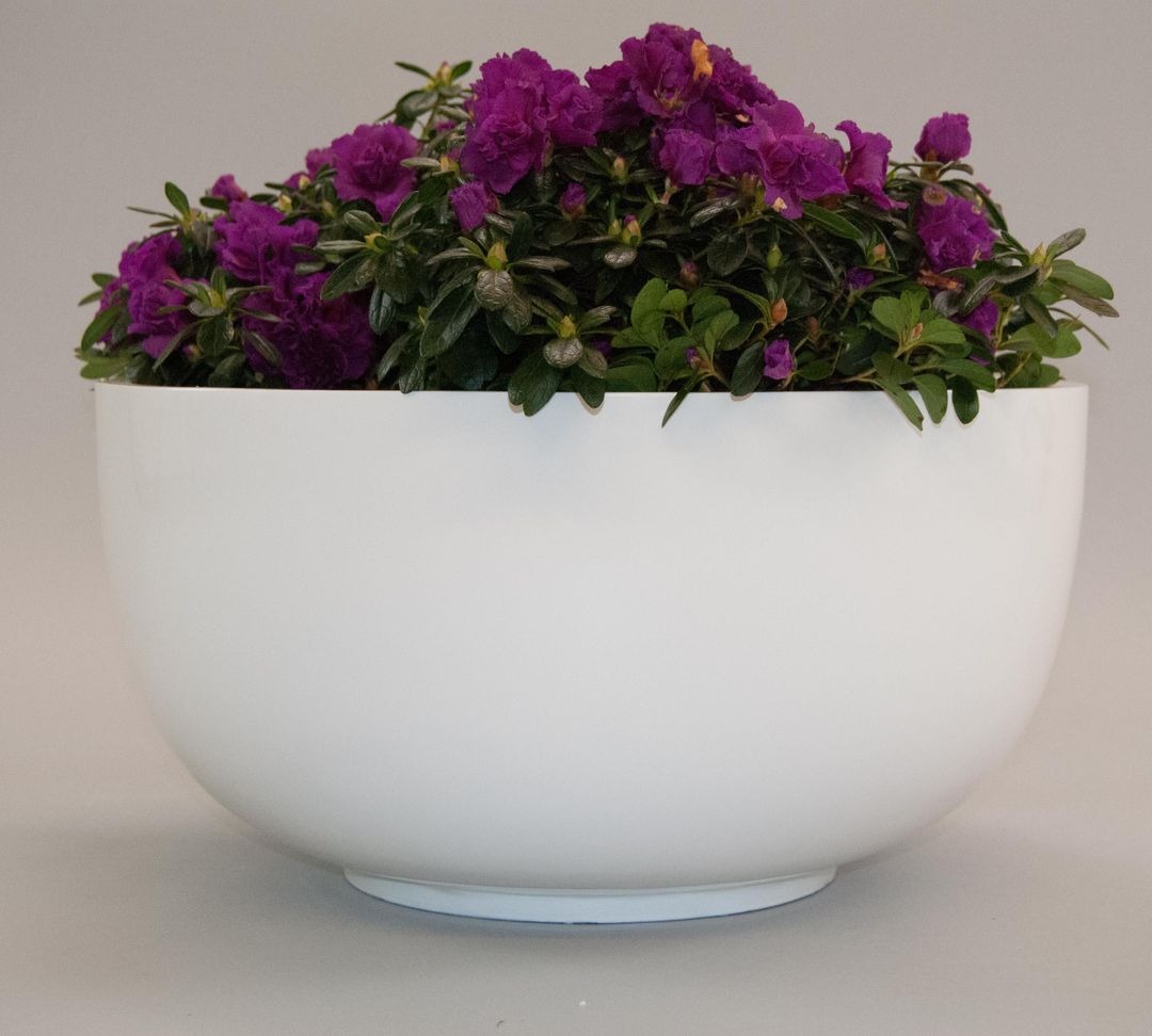 Elegant Einrichten | Pflanzkübel | Fiberglas | rund | D60xH30cm | hochglanz weiß