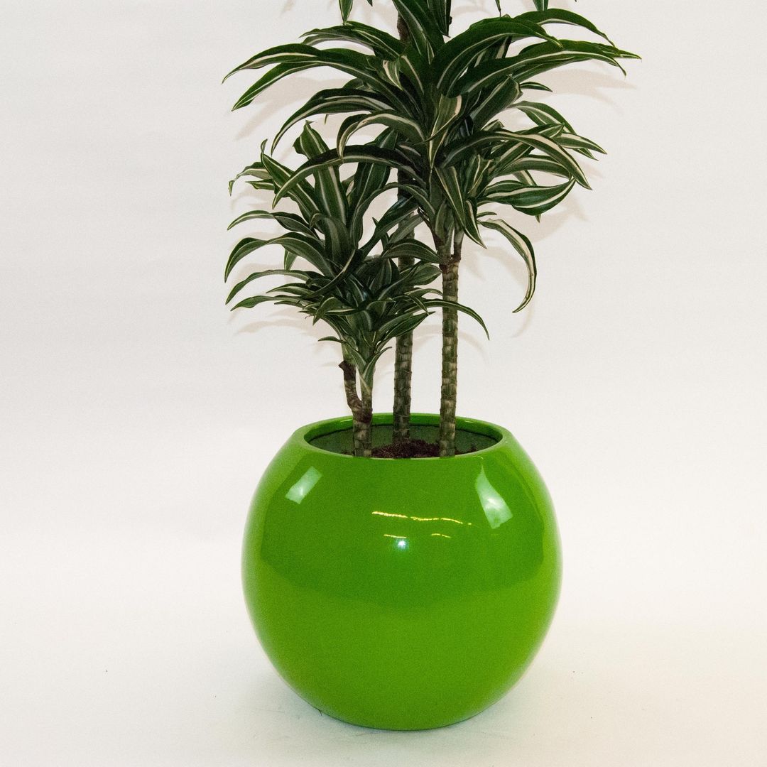 Elegant Einrichten | Pflanzkübel | Fiberglas | Ball | D62xH48cm | hochglanz avocado grün