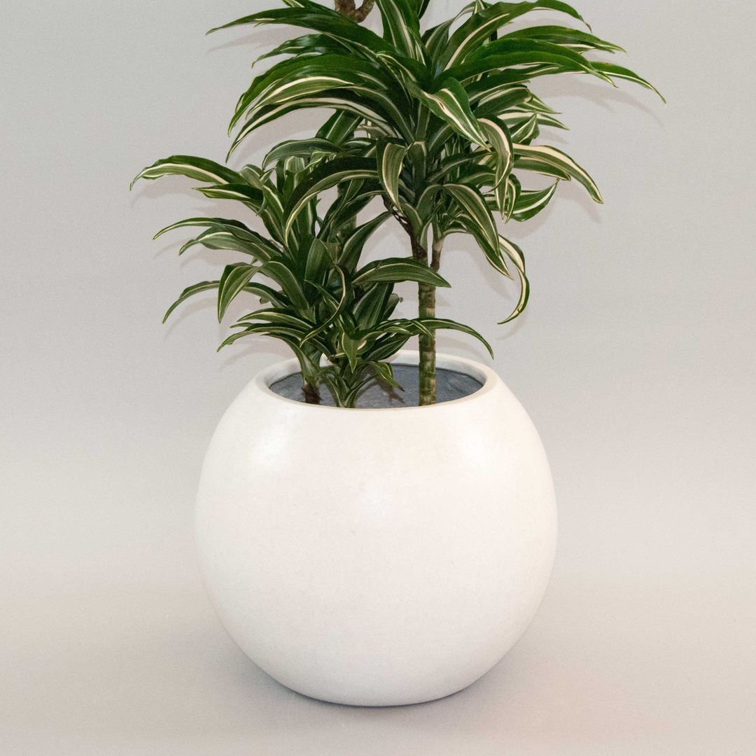 Elegant Einrichten | Pflanzkübel | Fiberglas | Ball | D40xH32cm | perlmutt weiß.