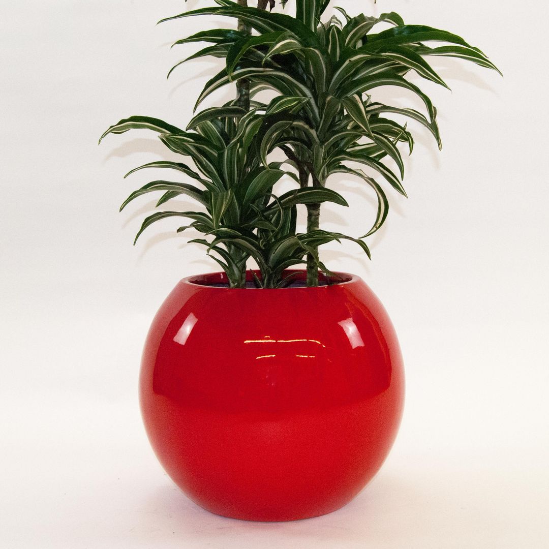 Elegant Einrichten | Pflanzkübel | Fiberglas | Ball | D40xH32cm | hochglanz rot