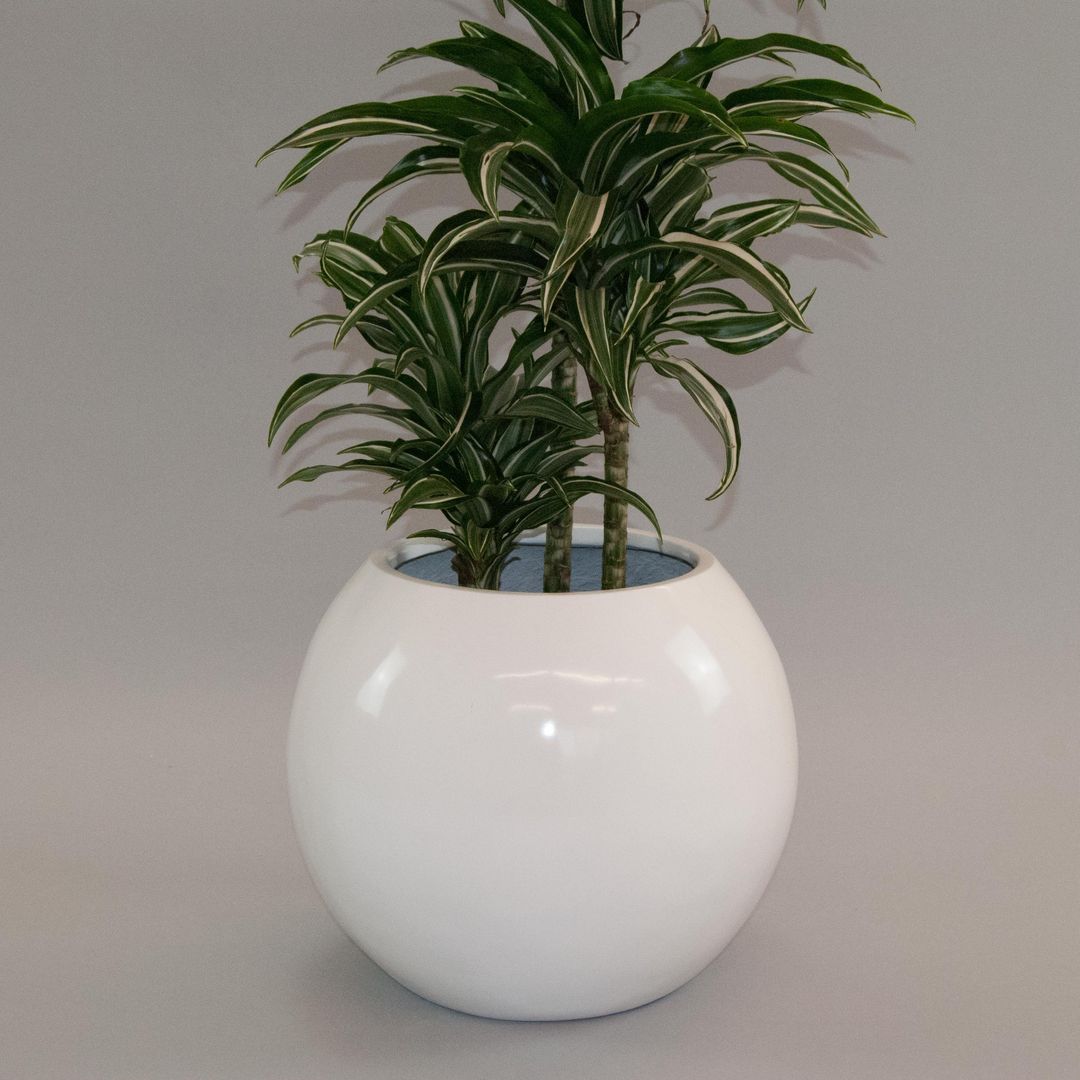 Elegant Einrichten | Pflanzkübel | Fiberglas | Ball | D40xH32cm | hochglanz weiß