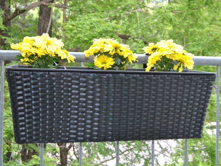 Pflanzkasten Polyrattan 60x19x20cm schwarz 6er Set