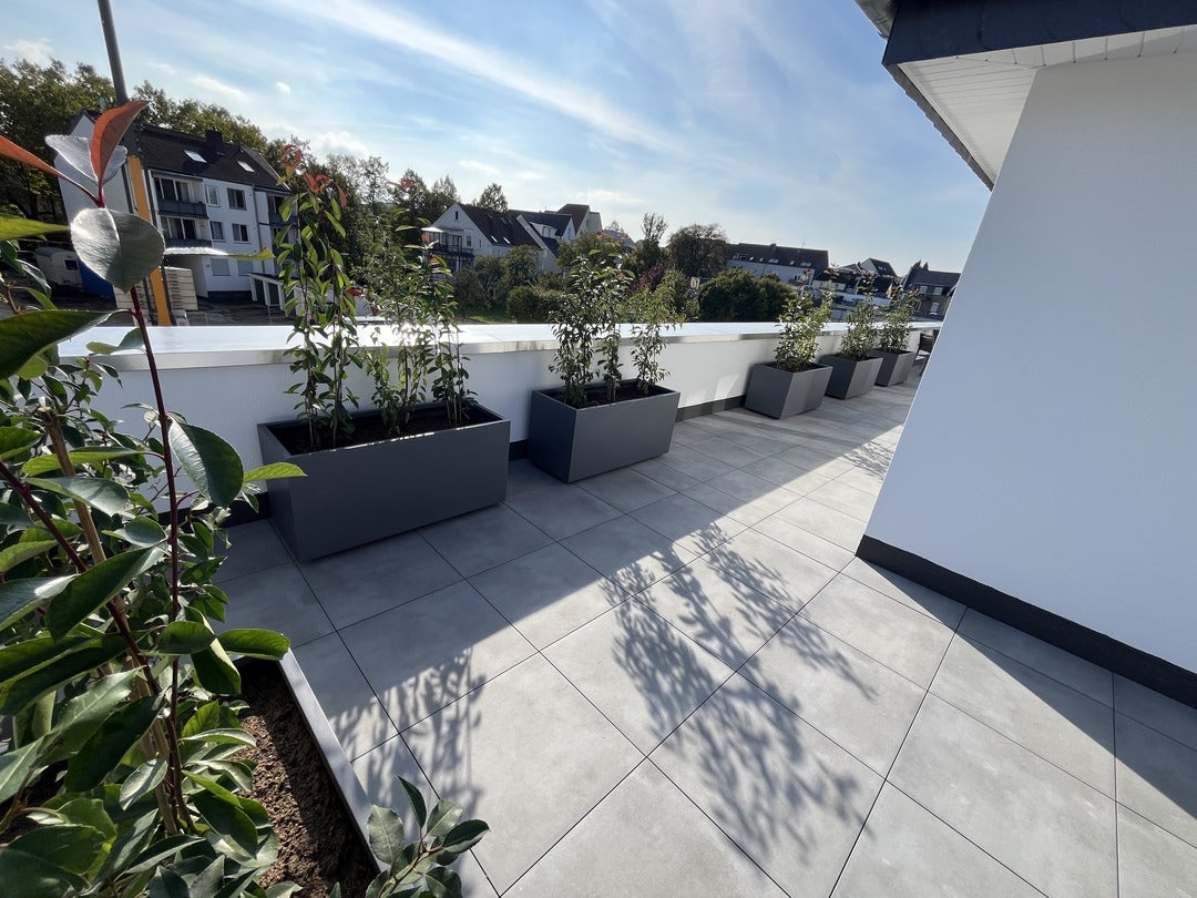 Pflanzkübel Fiberglas rechteckig 120x50x55cm anthrazit-metallic, sechs Tröge mit Spaliergehölzen entlang der Brüstung einer Dachterrasse