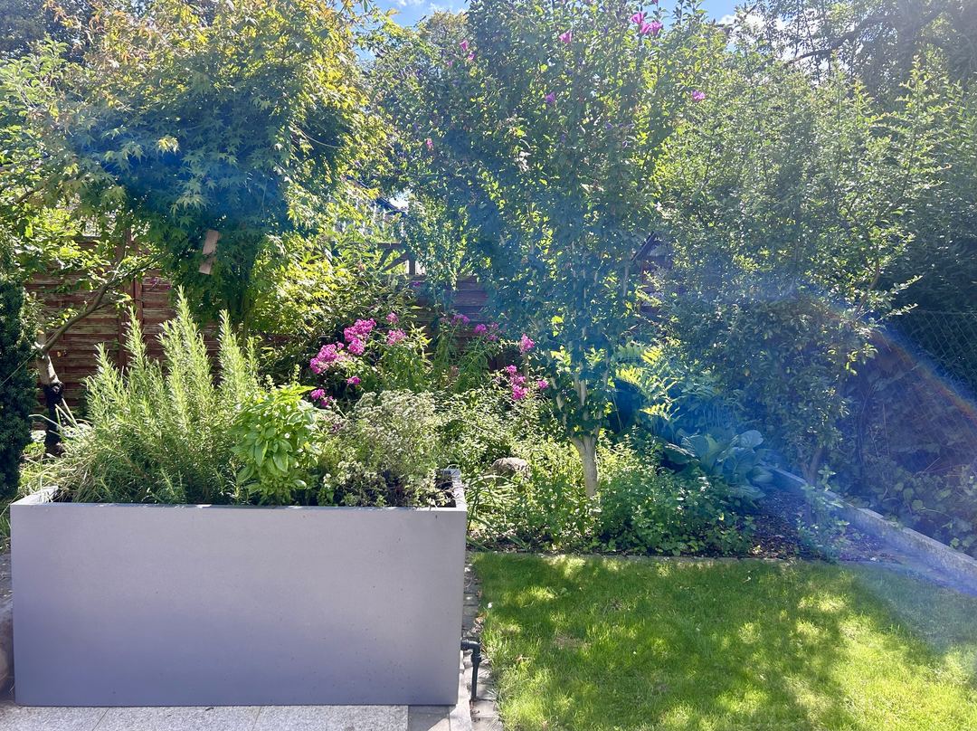 Pflanzkübel Fiberglas rechteckig 120x50x55cm anthrazit-metallic mit Küchenkräutern am Rand eines Staudenbeets