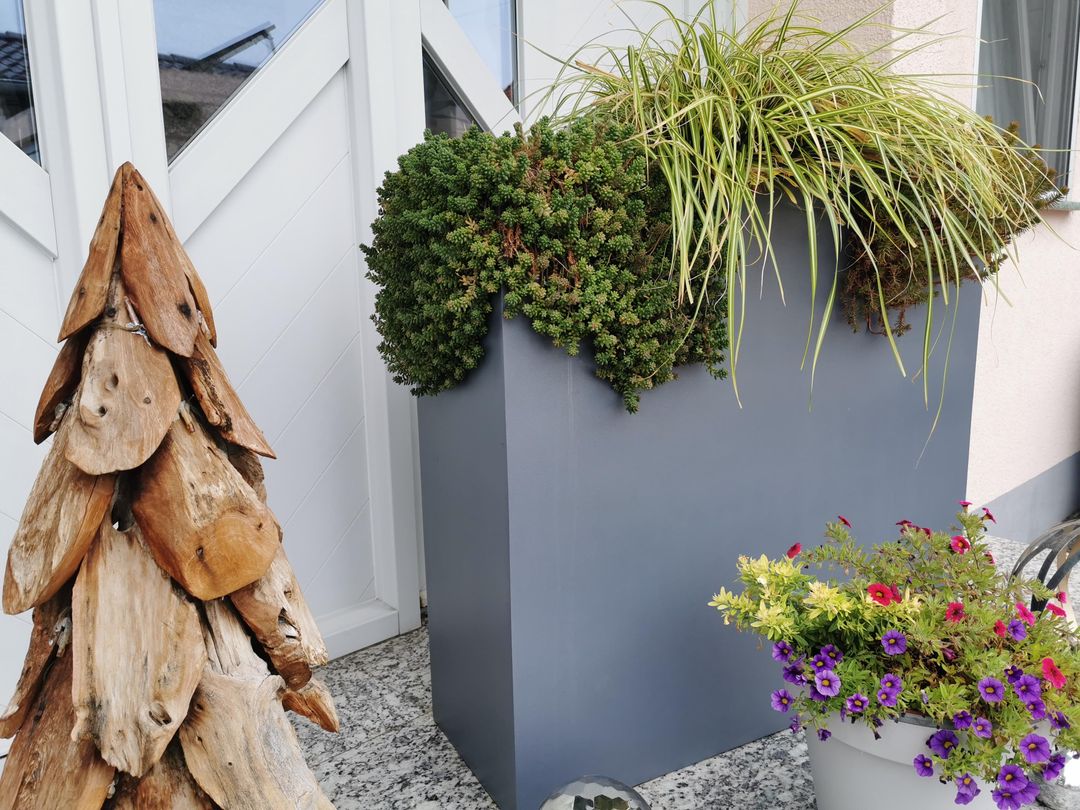 Pflanzkübel Fiberglas rechteckig 84x30x80cm anthrazit-metallic mit Ziergras und Polsterstauden am Hauseingang