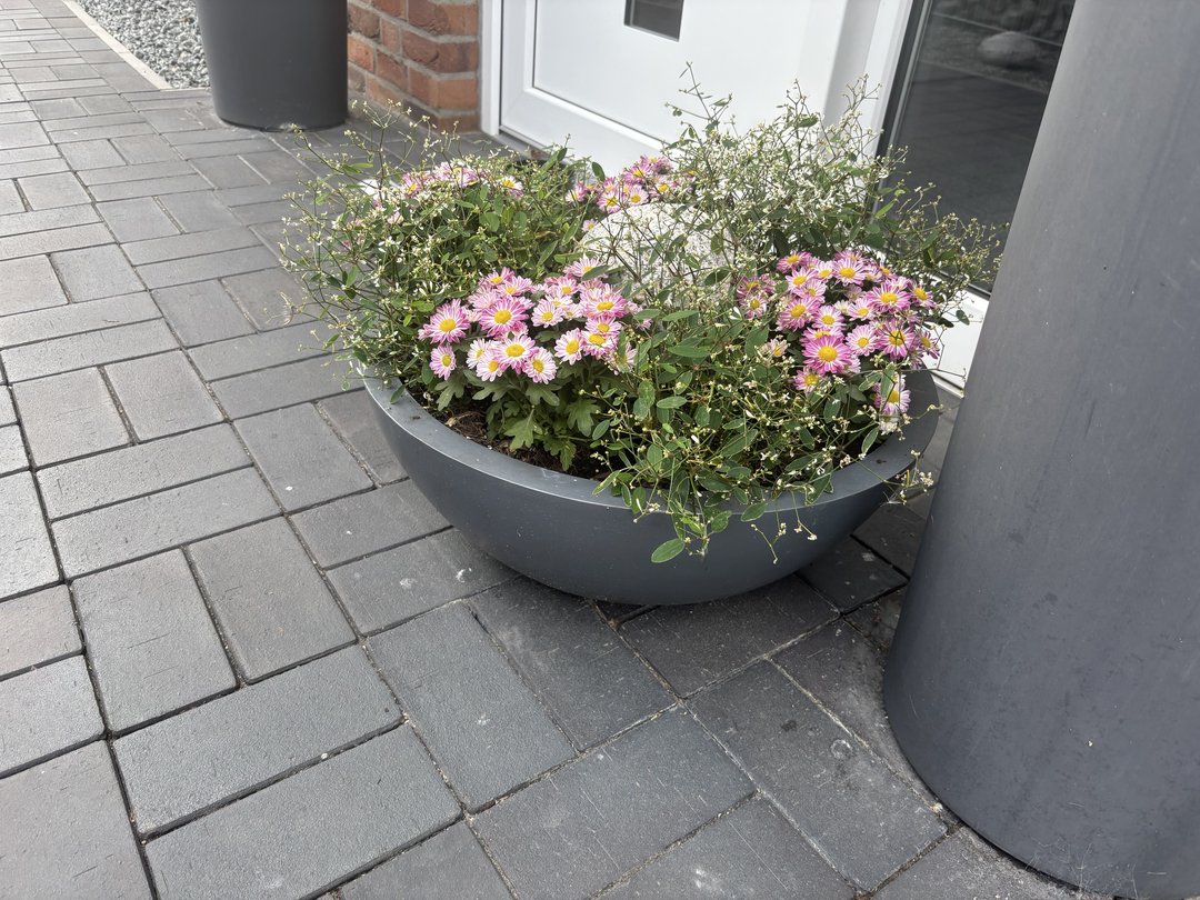 Pflanzkübel Fiberglas Schale rund D55xH19cm anthrazit-metallic mit Herbstbepflanzung auf gepflastertem Eingangsbereich