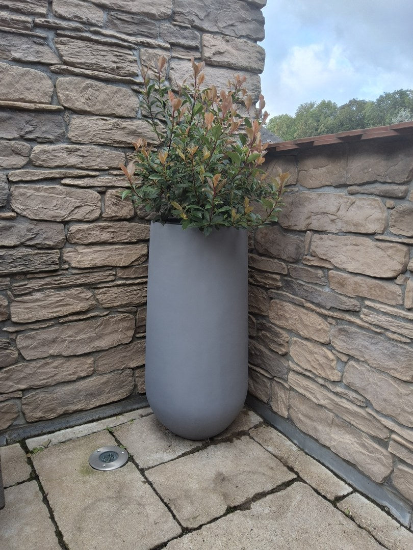 Pflanzkübel Fiberglas rund konisch D40xH80cm grau mit Glanzmispel vor einer Natursteinmauer am Hauseingang