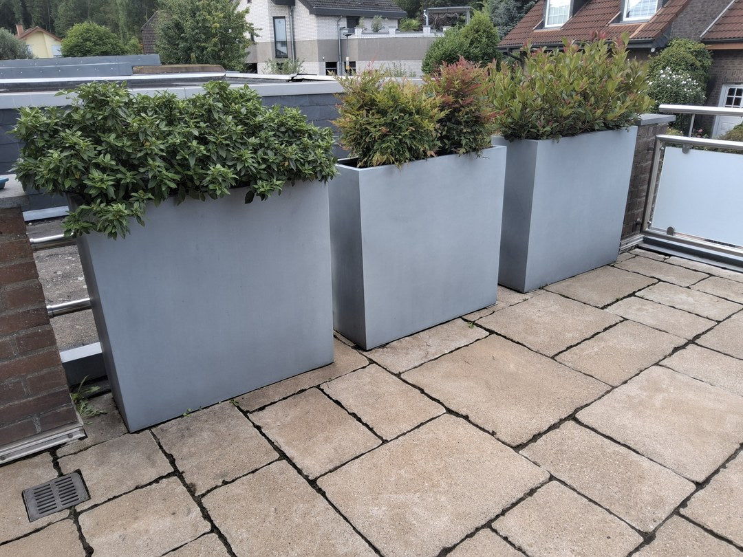Pflanzkübel Fiberglas rechteckig als Raumteiler 84x30x80cm grau in Dreierreihe immergrün bepflanzt als Sichtschutz auf einer Dachterrasse