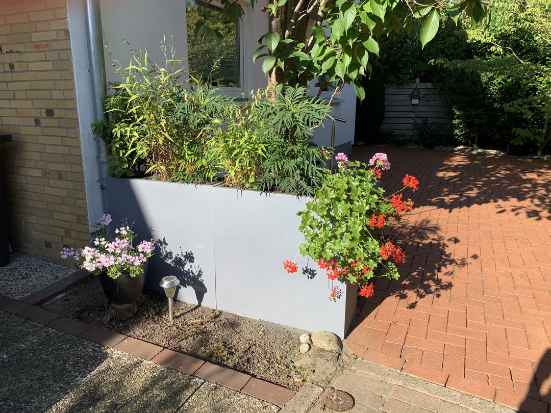 Pflanzkübel Fiberglas rechteckig als Raumteiler 84x30x80cm grau als Paar an einem Hauseingang, mit Gräsern und Farnen bepflanzt, davor blühende Geranien