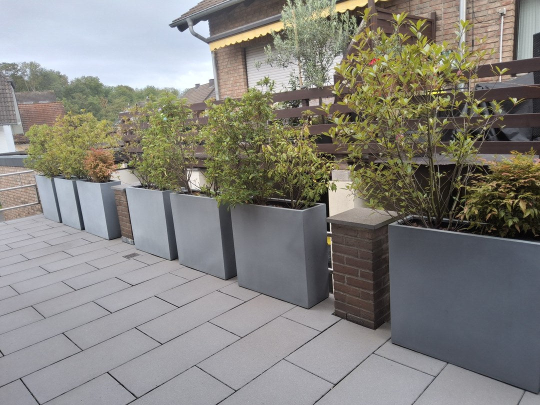 Pflanzkübel Fiberglas rechteckig als Raumteiler 84x30x80cm grau in langer Reihe auf einer Dachterrasse, dicht mit Sträuchern bepflanzt als grüne Sichtschutzwand