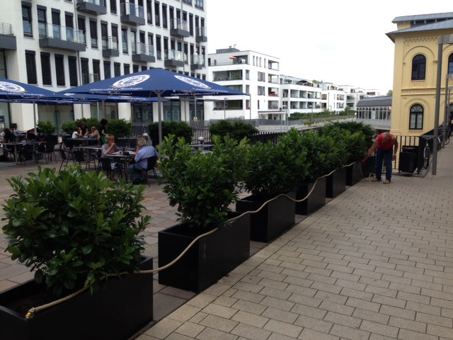 Elegant Einrichten | Pflanzkübel | Fiberglas | rechteckig | 120x50x55cm | elegant schwarz-matt.