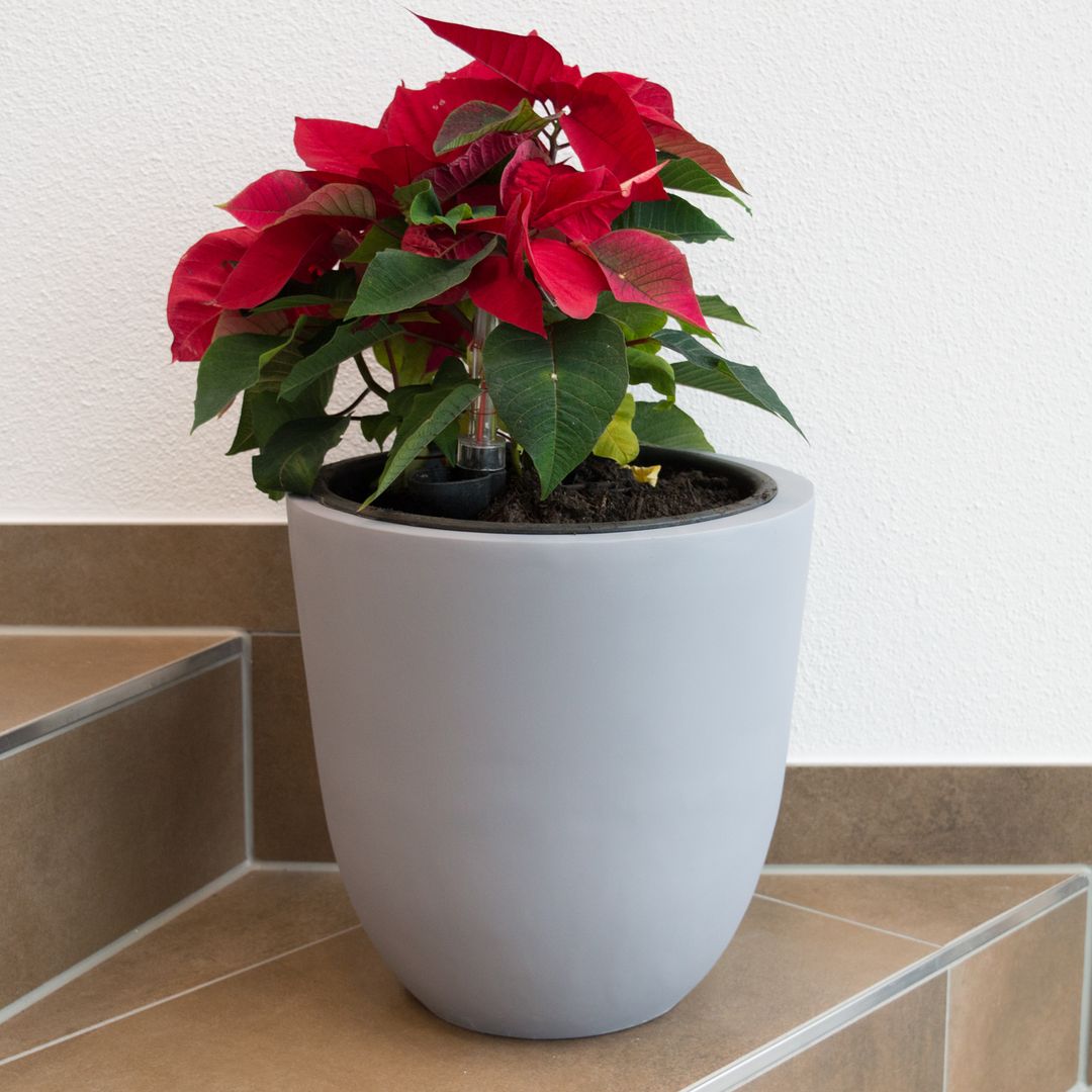 Elegant Einrichten | Pflanzkübel | Fiberglas | rund konisch | D30xH30cm|  grau.