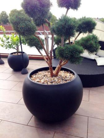 Elegant Einrichten | Pflanzkübel | Fiberglas | Ball | D62xH48cm | elegant schwarz-matt.