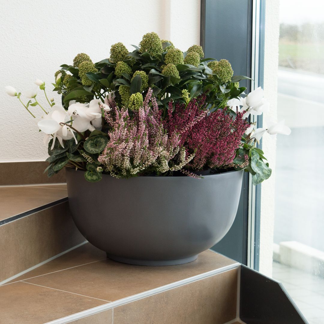 Elegant Einrichten | Pflanzkübel | Fiberglas | rund | D50xH25cm | anthrazit-metallic