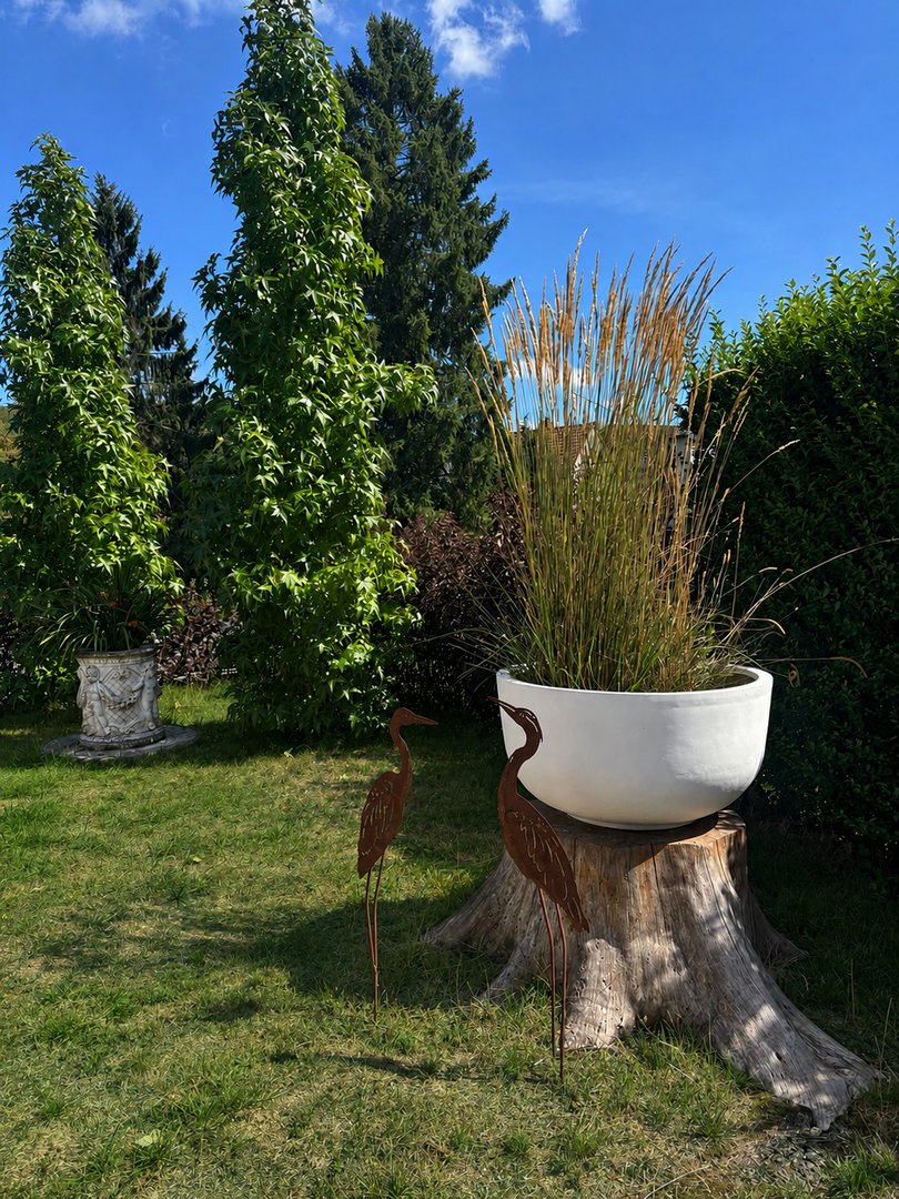 Pflanzkübel Fiberglas Schale rund D80xH40cm perlmutt weiß mit hohem Ziergras als Blickfang auf einer Rasenfläche im Garten