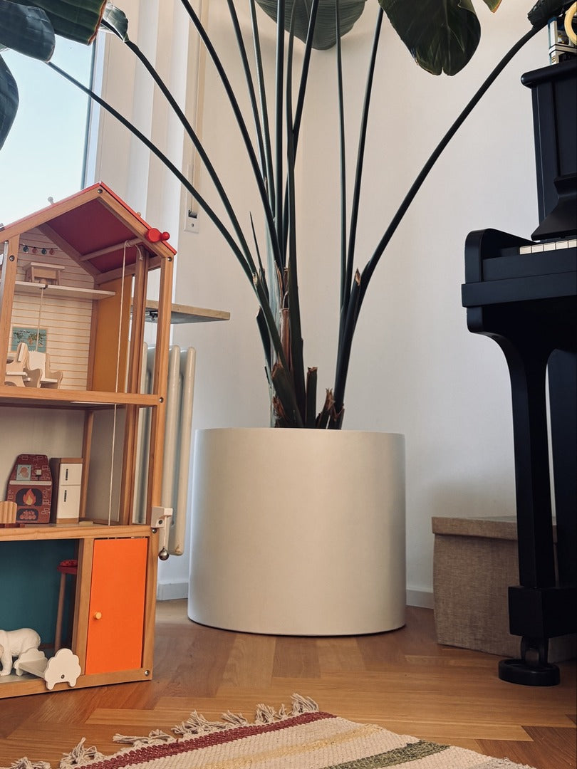 Pflanzkübel Fiberglas zylindrisch D50xH40cm perlmutt weiß mit großer Strelitzie im Wohnraum auf Parkett