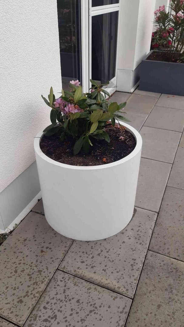 Pflanzkübel Fiberglas zylindrisch D60xH50cm perlmutt weiß mit blühendem Rhododendron an einer Hauswand